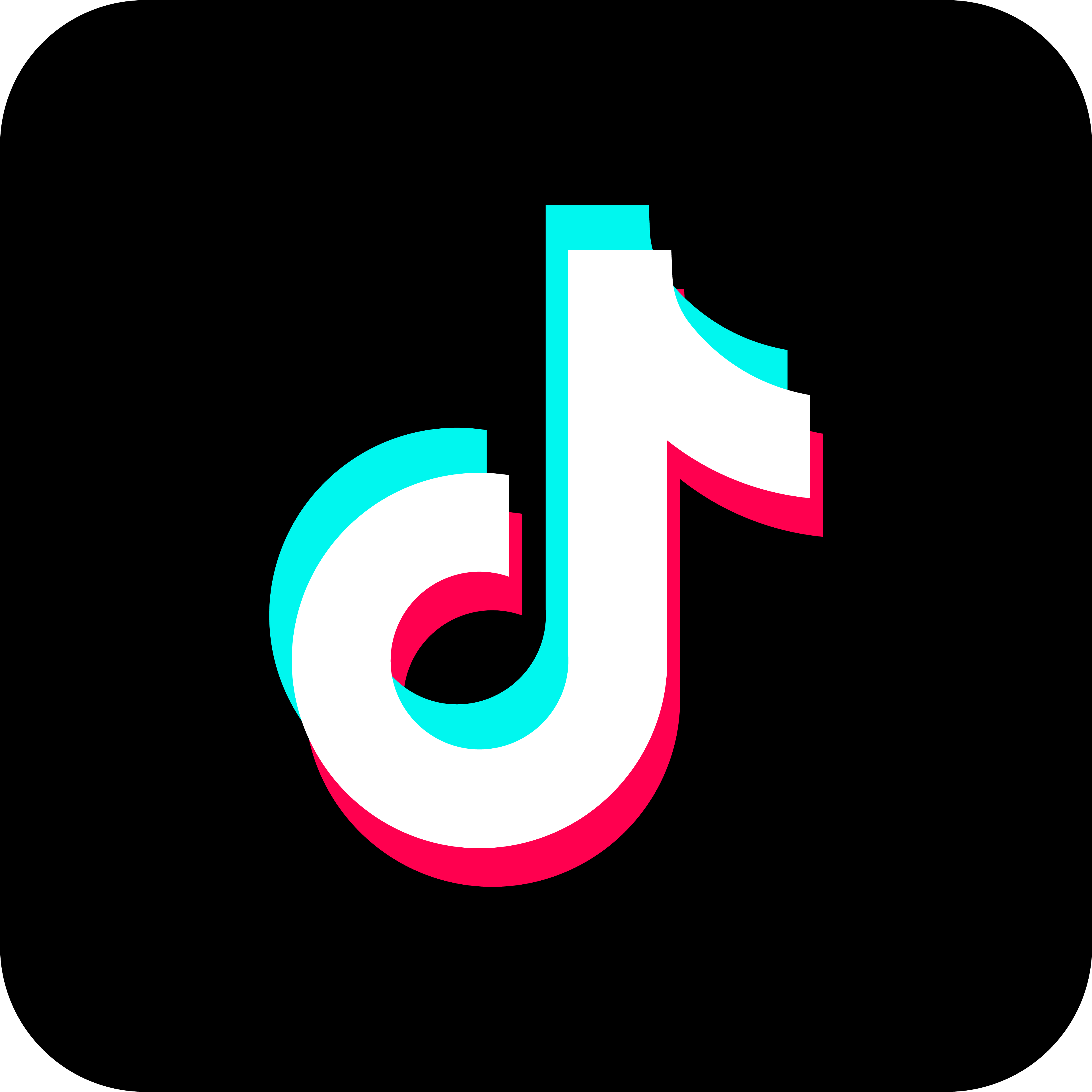 Tiktok logo